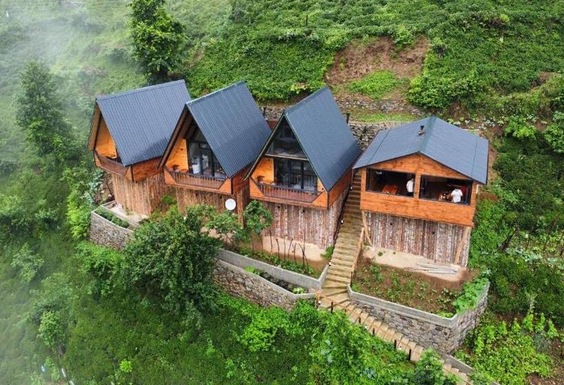 בית מלון כפרי Eva Bungalov