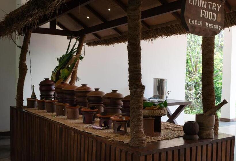 בית מלון כפרי Lario Resort Sigiriya
