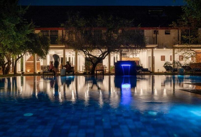 בית מלון כפרי Lario Resort Sigiriya