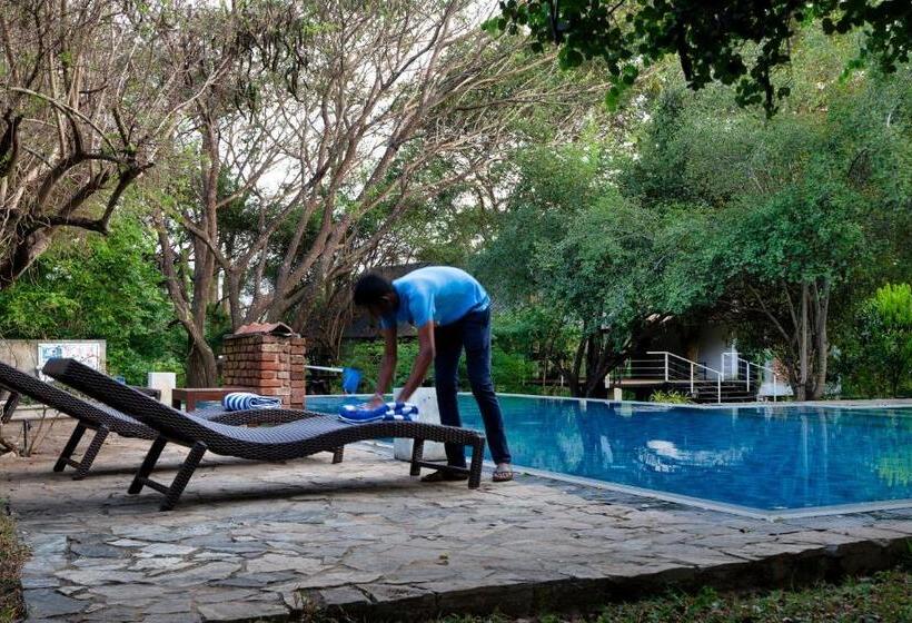 בית מלון כפרי Lario Resort Sigiriya