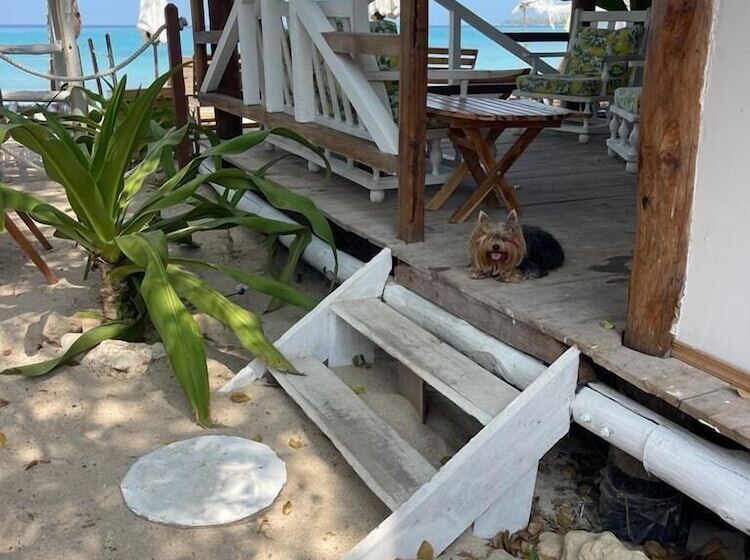 酒店 Mio Mio Beach