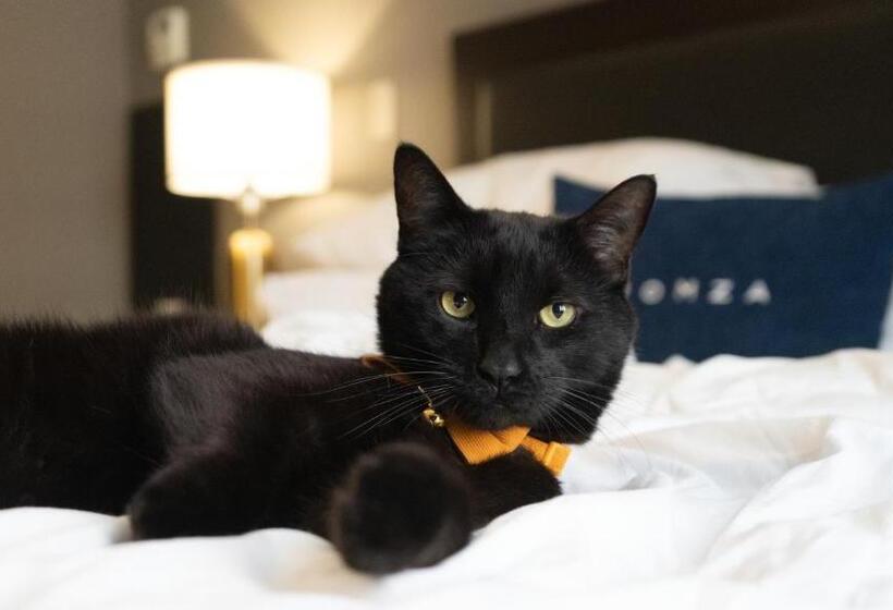 בית מלון כפרי Roomza Inner Harbor At Lord Baltimore