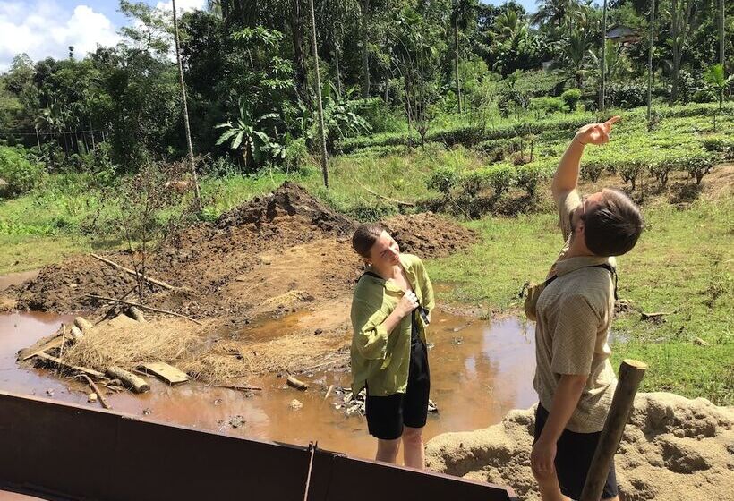 ホテル The Backyard Blangoda