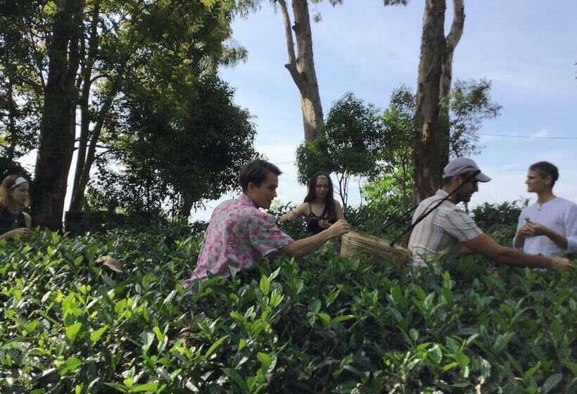 ホテル The Backyard Blangoda