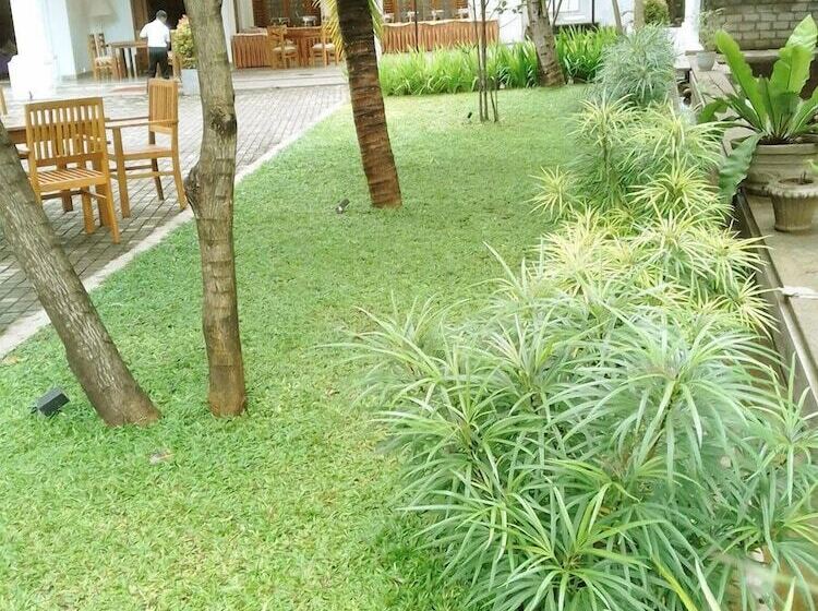 بنسيون Adaviya Resort