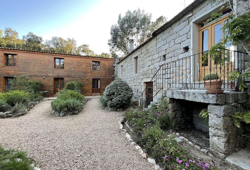 ペンション Barraconu