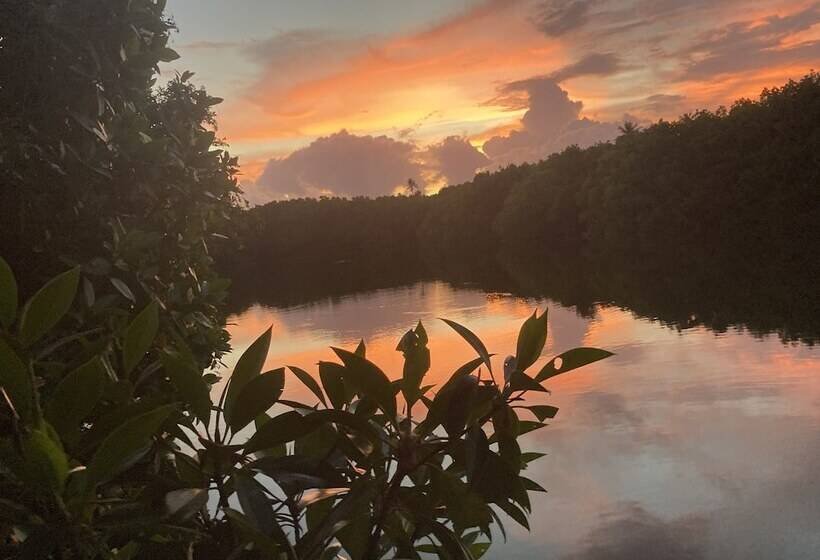 Пансион Coconut Island Cabanas