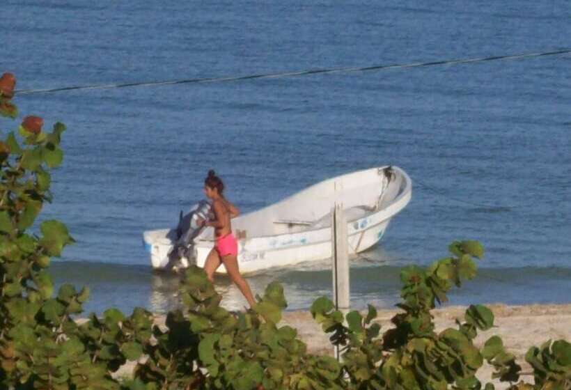 פנסיון Flamingo Guest House Celestún