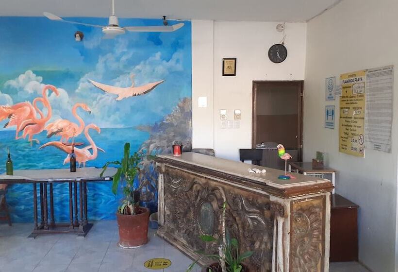 פנסיון Flamingo Guest House Celestún