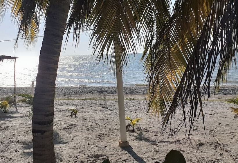 פנסיון Flamingo Guest House Celestún