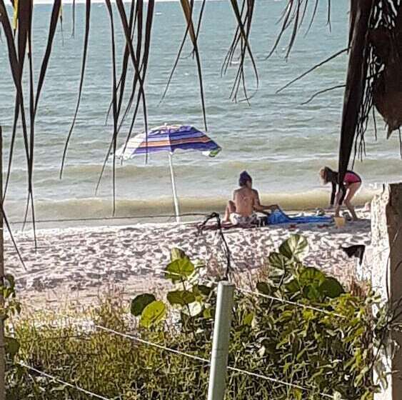 פנסיון Flamingo Guest House Celestún