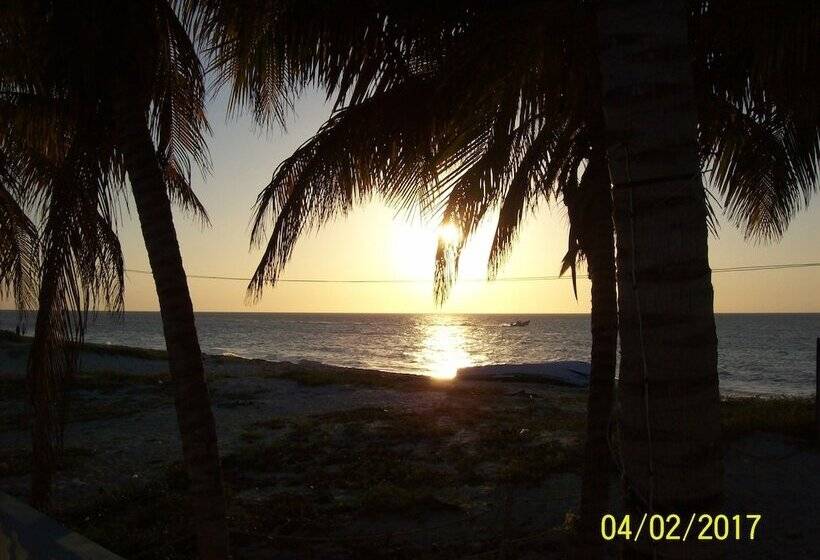 פנסיון Flamingo Guest House Celestún