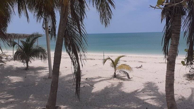 פנסיון Flamingo Guest House Celestún