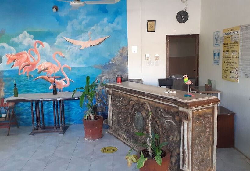 פנסיון Flamingo Guest House Celestún