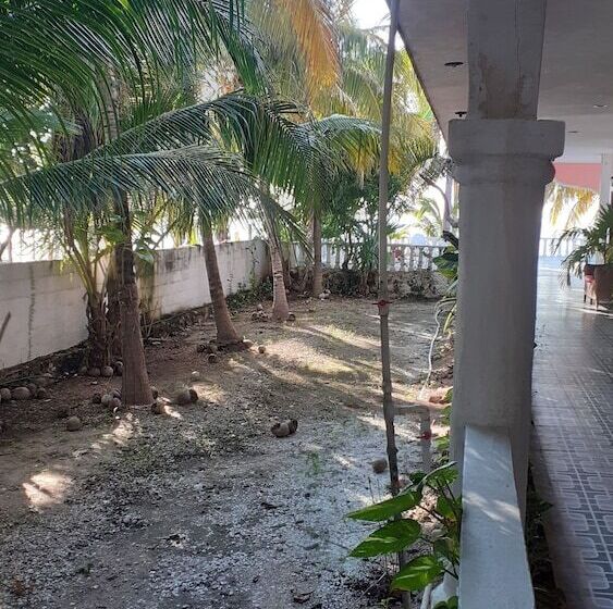 פנסיון Flamingo Guest House Celestún