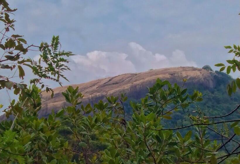 膳宿费 Kalum Home