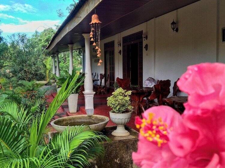 膳宿费 Kalum Home