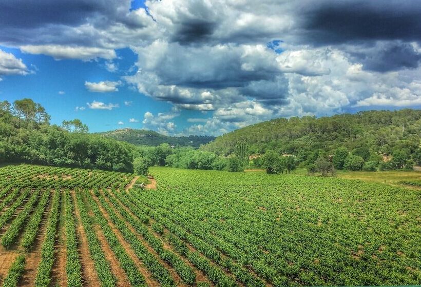 膳宿费 Le Lodge Du Domaine Saint Martin