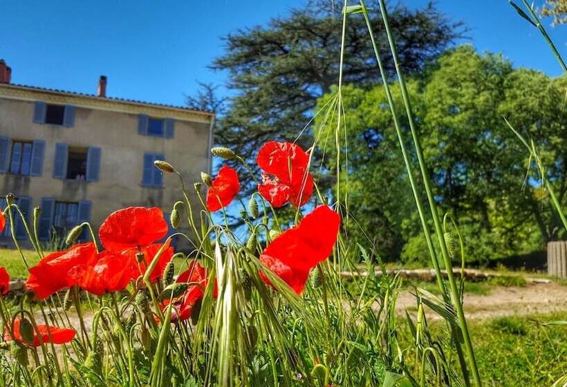 膳宿费 Le Lodge Du Domaine Saint Martin
