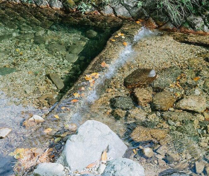 פנסיון Koukasha