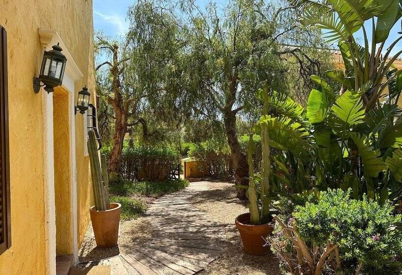 Desert Springs Resort