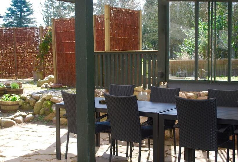 Adventure Park Apartments