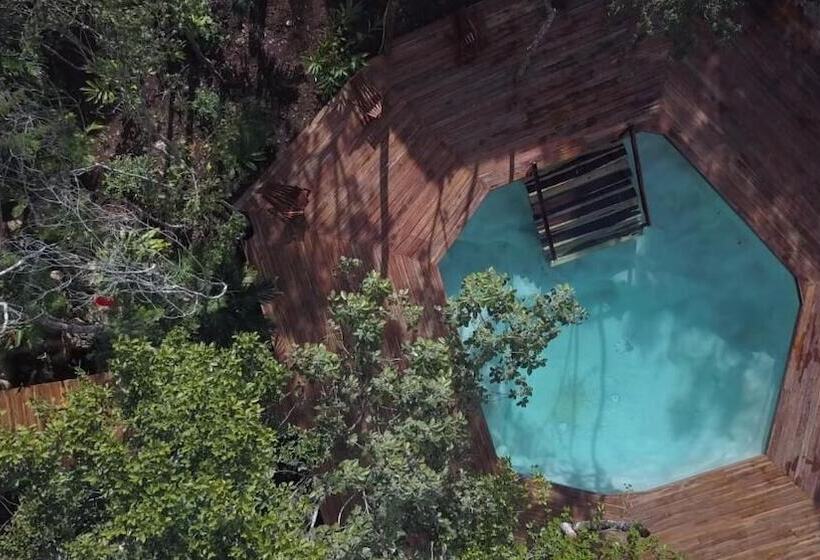 هاستل Boutique Chacá