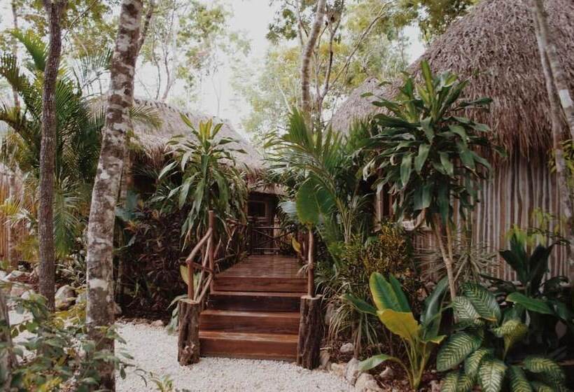 هاستل Boutique Chacá