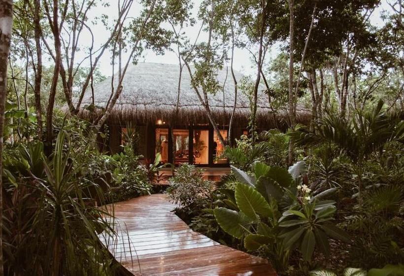 هاستل Boutique Chacá