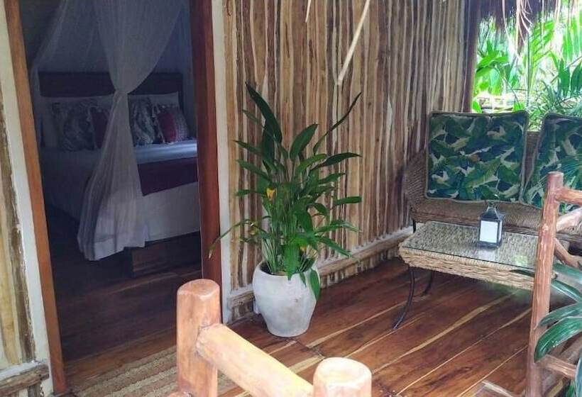 هاستل Boutique Chacá