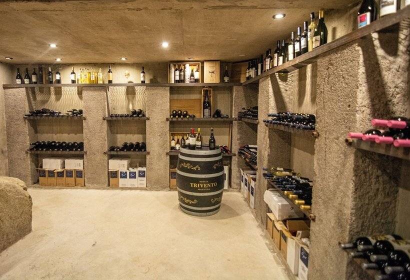 Ayres De Uco Lodge & Wine Lovers