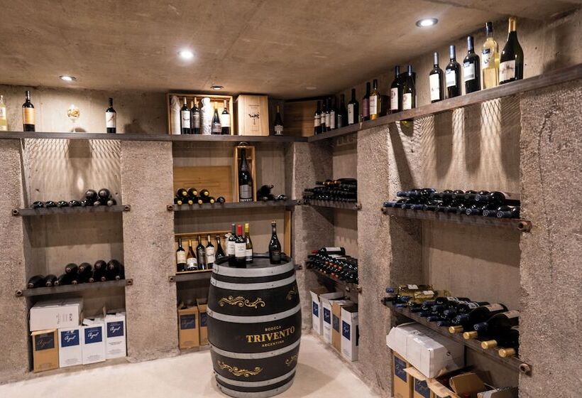 Ayres De Uco Lodge & Wine Lovers