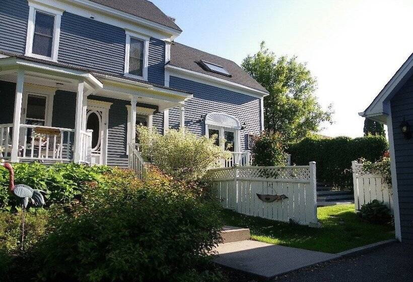 The Colonel S In B&b