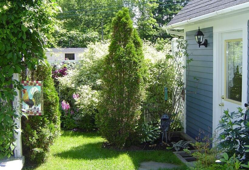 The Colonel S In B&b