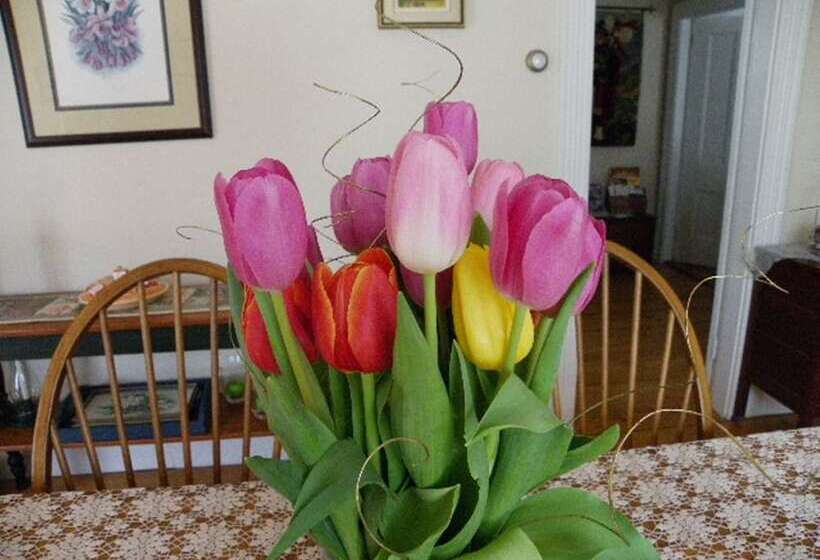 The Colonel S In B&b