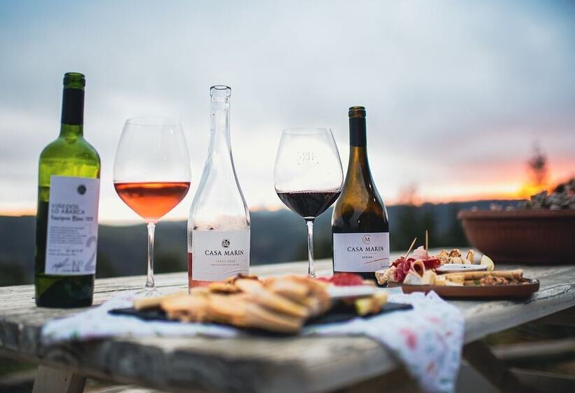 مبيت وإفطار Villa Miramar At Casa Marin Vineyards