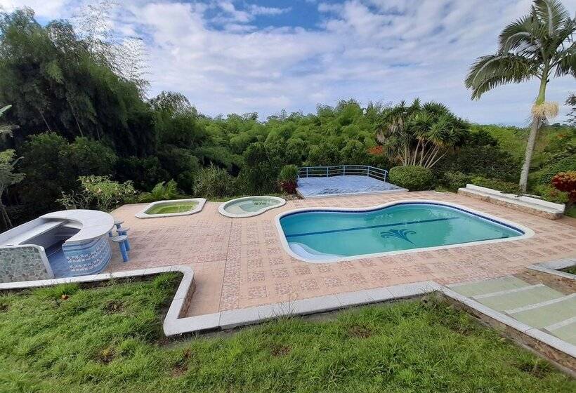 בית מלון כפרי Brugmansia Country