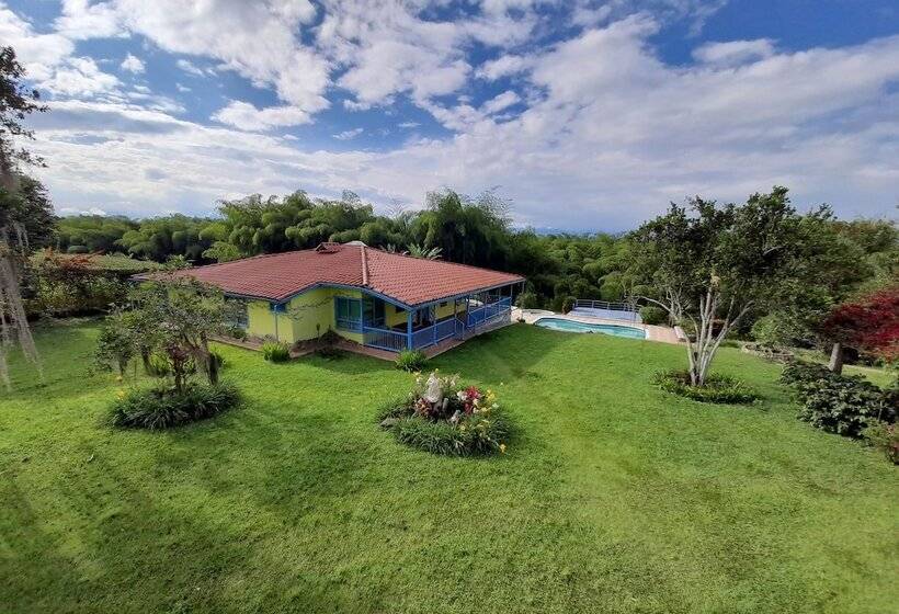 בית מלון כפרי Brugmansia Country