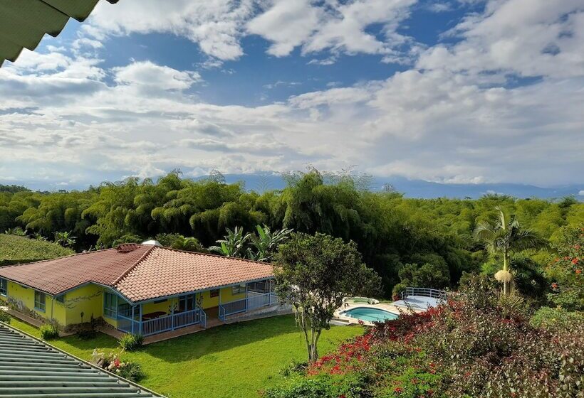בית מלון כפרי Brugmansia Country