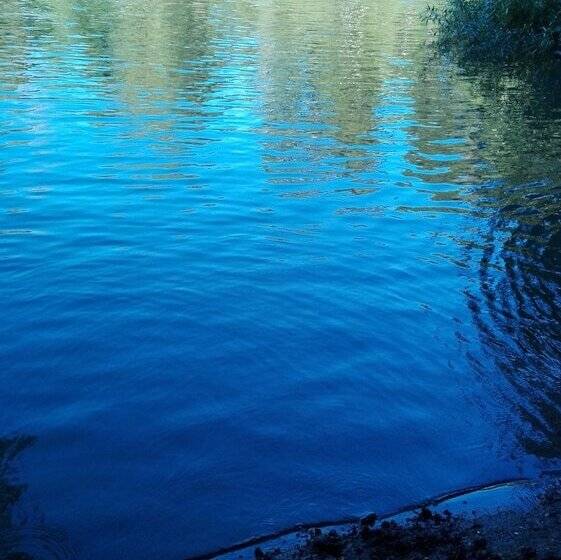 Cabañas Rústicas Pucón