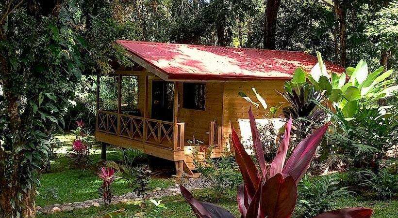 Cabinas Costa Tropicana