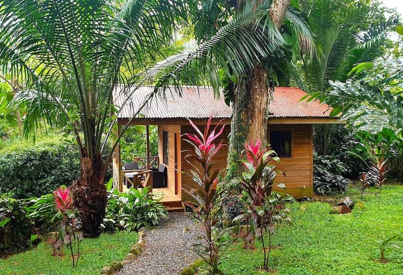 Cabinas Costa Tropicana