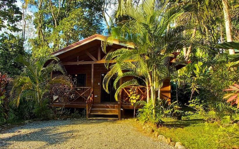 Cabinas Costa Tropicana