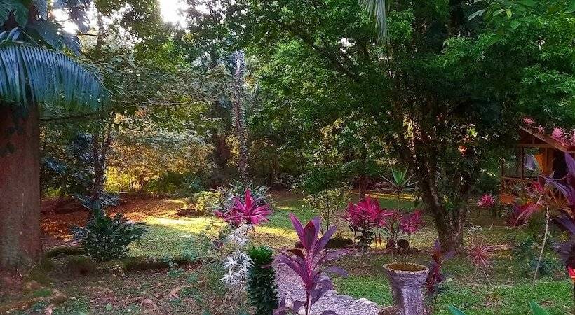 Cabinas Costa Tropicana