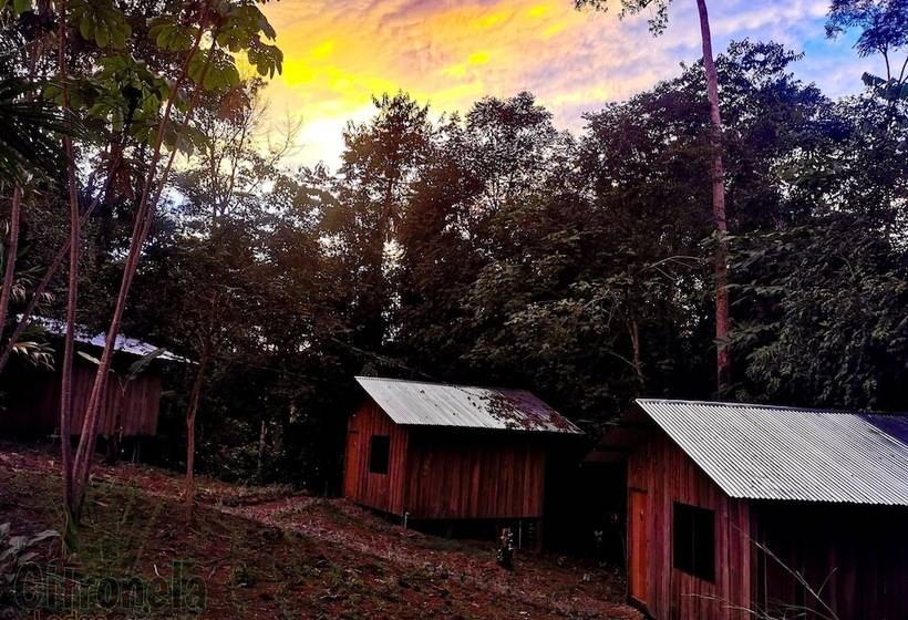 Citronela Lodge Corcovado