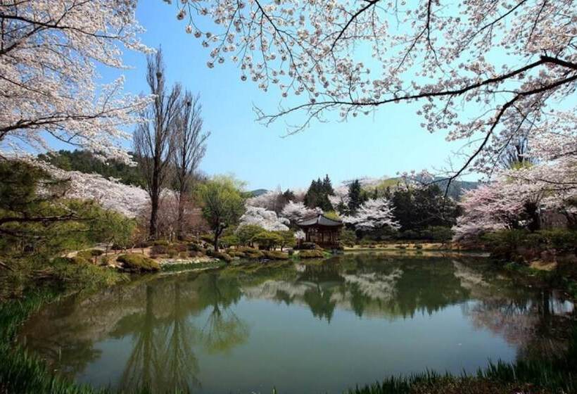 Gyeongju Bomun Hill Stay Pension