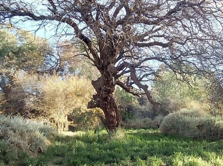 Hostal La Casa Blanca