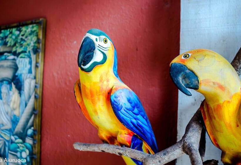 酒店 Pousada Aiuruoca