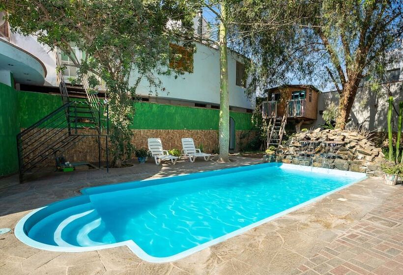 فندق Dream House Ica