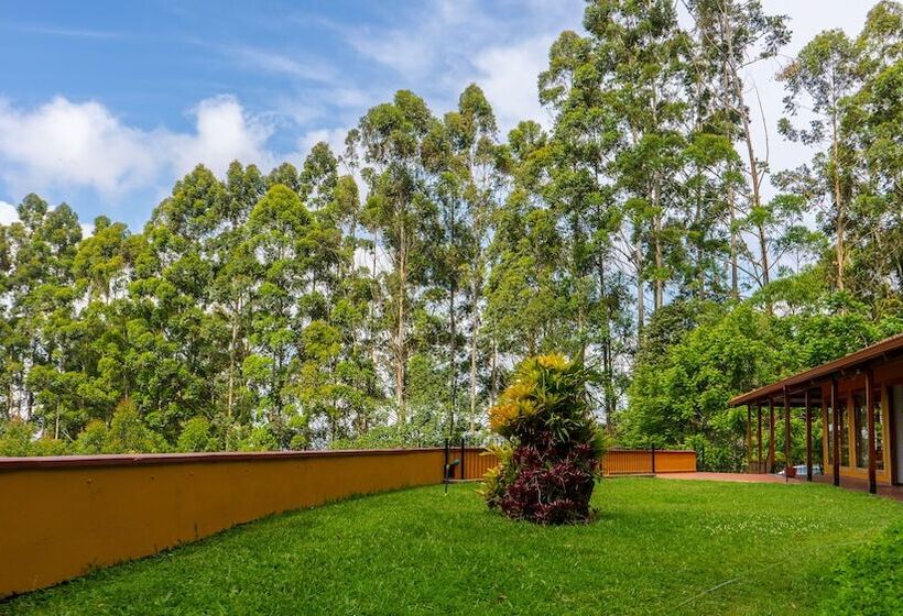 בית מלון כפרי Gran Azul